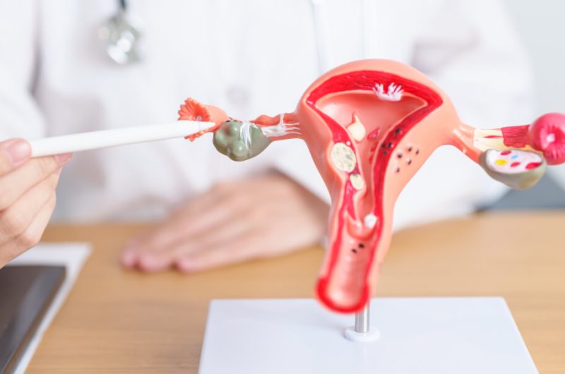 Ortopedi ve Travmatoloji