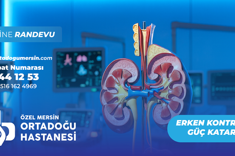 İdrar Yolu Enfeksiyonu Nasıl Anlaşılır? En Yaygın 7 Belirti