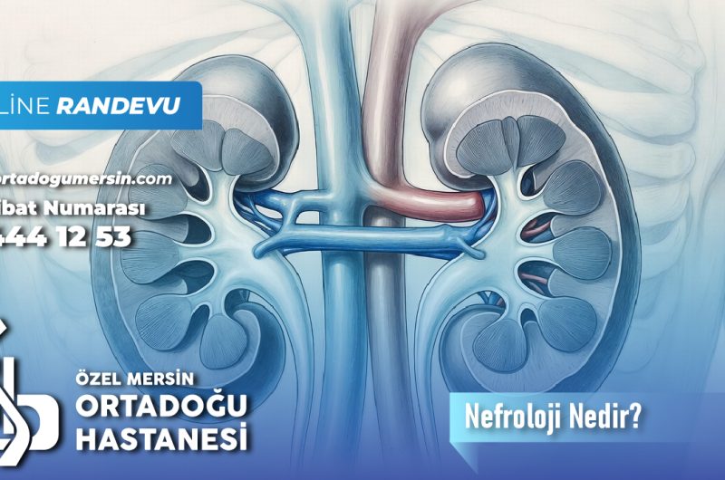 Nefroloji Nedir? Hangi Hastalıklarla İlgilenir?