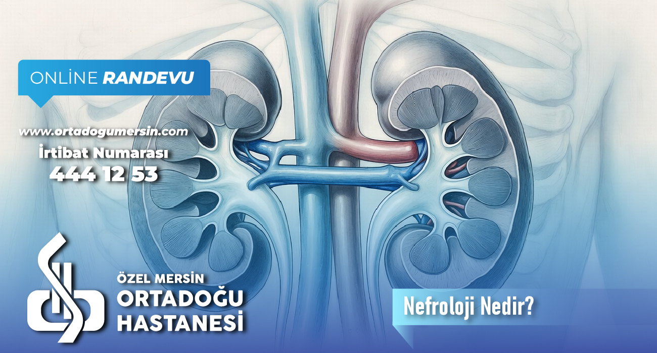 Nefroloji Nedir? Hangi Hastalıklarla İlgilenir?