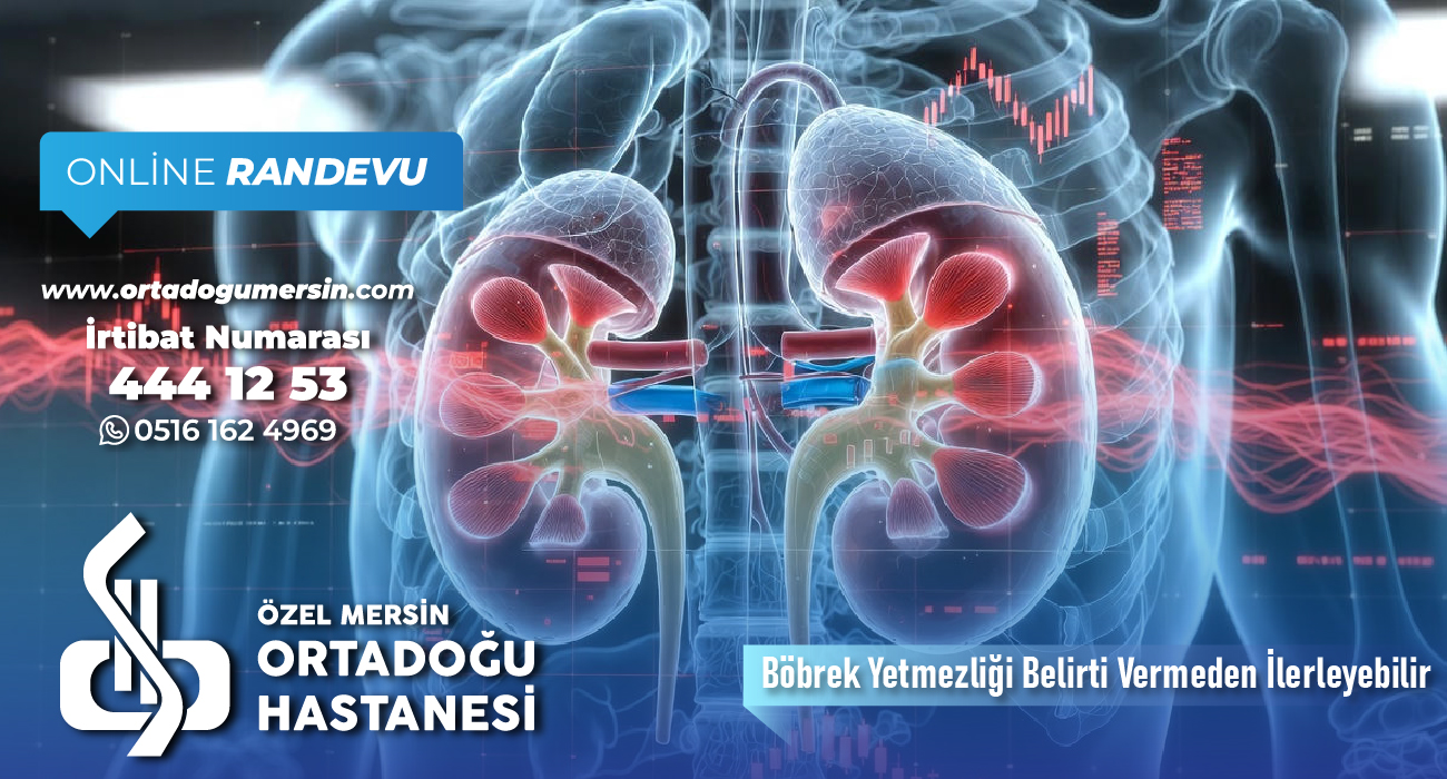 Böbrek Sağlığı Neden Önemlidir? Böbrek Yetmezliği Hakkında Bilmeniz Gerekenler