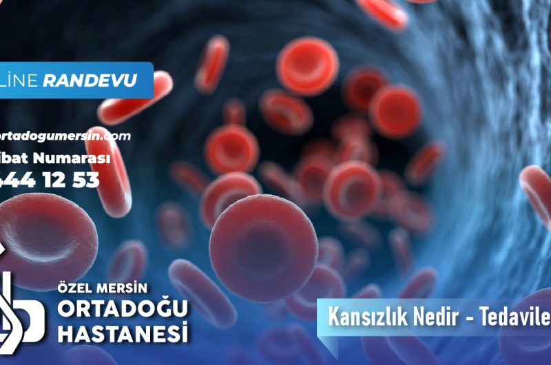 Kansızlık (Anemi) Nedir? Belirtileri, Nedenleri ve Tedavi Yöntemleri