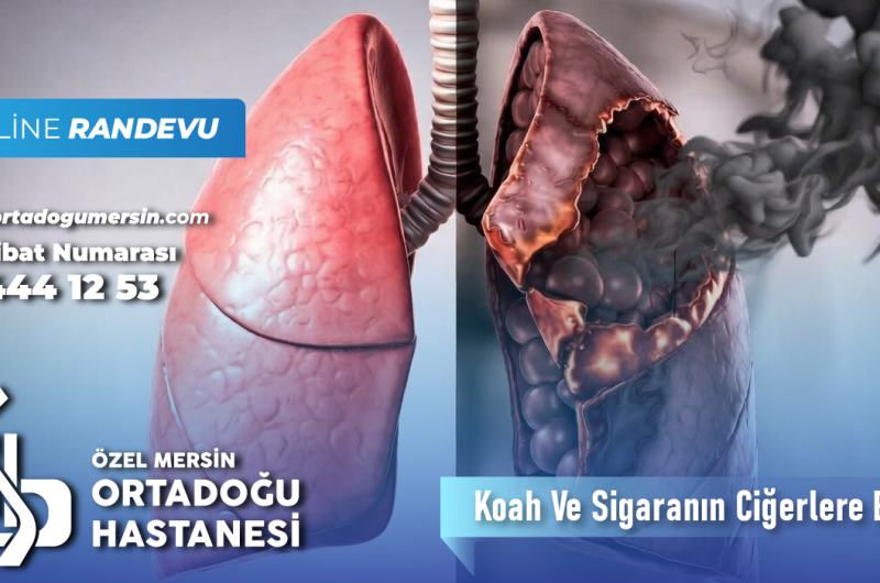KOAH ve Sigaranın Akciğerlere Etkileri: Bilmeniz Gerekenler