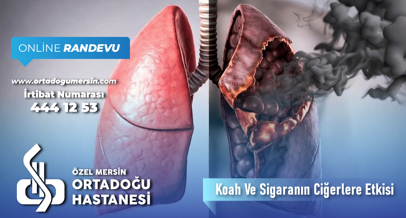 KOAH ve Sigaranın Akciğerlere Etkileri: Bilmeniz Gerekenler