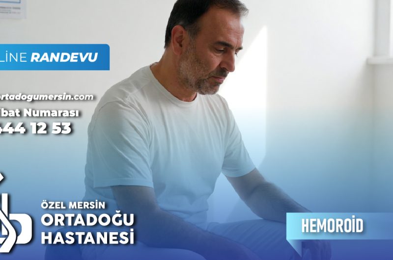Hemoroid (Basur) Nedir? Belirtileri, Nedenleri ve Tedavi Yöntemleri