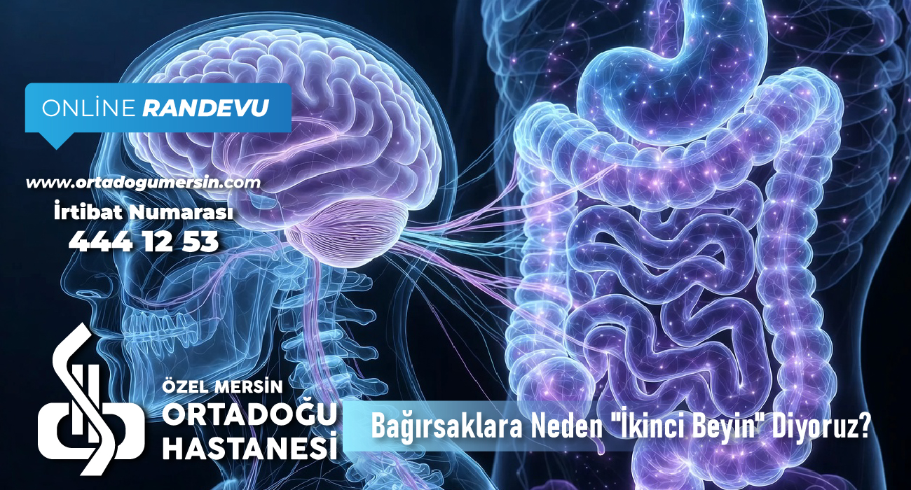 Bağırsaklar Neden “İkinci Beyin”? Bilimsel Gerçekler ve Sağlığınıza Etkileri