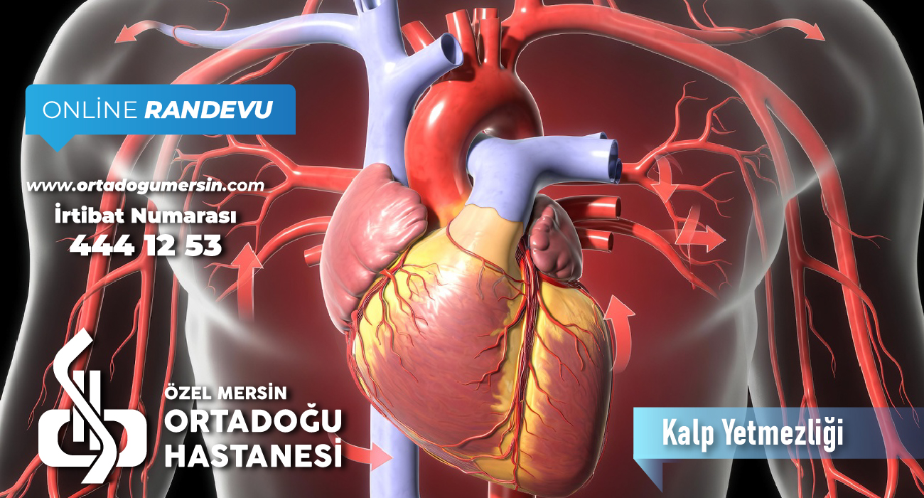Kalp Yetmezliği Nedir? Belirtileri, Nedenleri ve Tedavi Yöntemleri