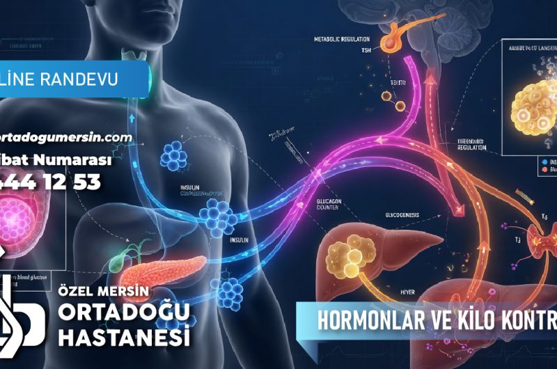 HORMONLAR VE KİLO KONTROLÜ