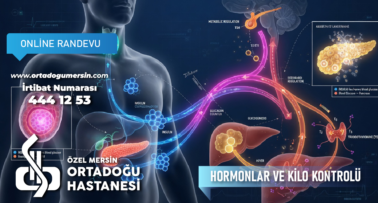HORMONLAR VE KİLO KONTROLÜ